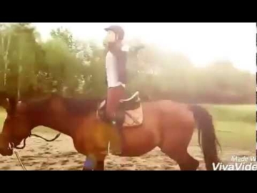лощадки-тренеровка